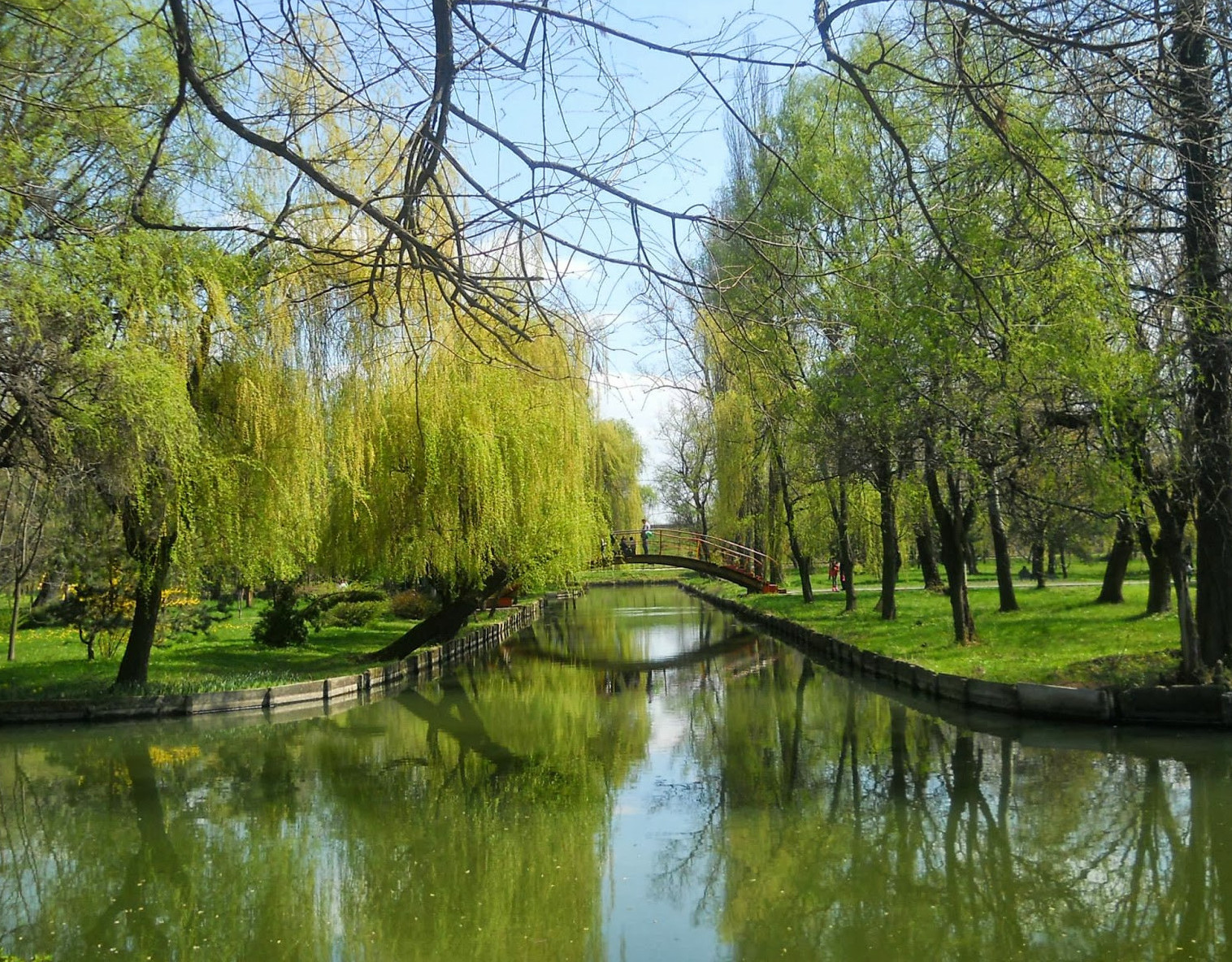 ADR Sud-Muntenia a demarat studiul privind “Analiza Regională asupra infrastructurii verzi-albastre în regiunea Sud-Muntenia”